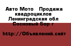 Авто Мото - Продажа квадроциклов. Ленинградская обл.,Сосновый Бор г.